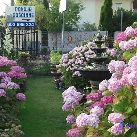 Goscinne Bednarscy Homestay