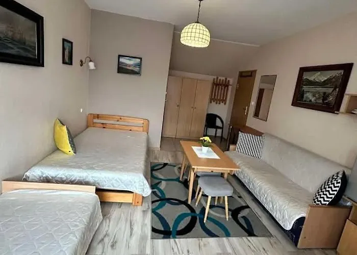 Goscinne Bednarscy 民宿 *